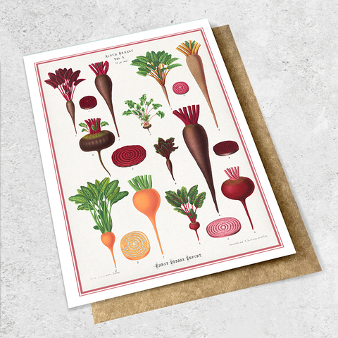 vintage beets