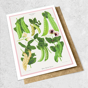vintage sugar peas