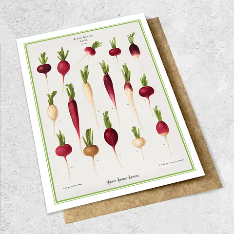 vintage radish