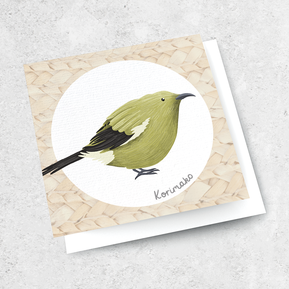 birds of aotearoa - korimako