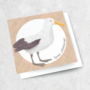 birds of aotearoa - toroa whakaingo