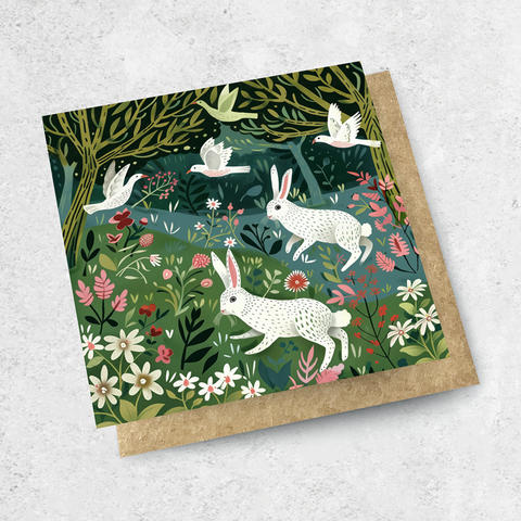 night bunnies