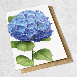 vintage botanical - hydrangea blue