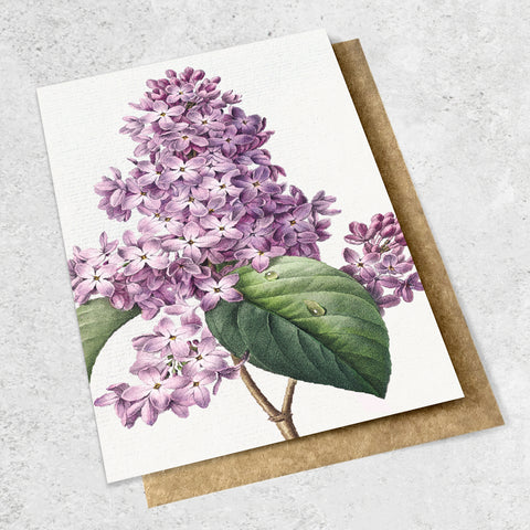 vintage botanical - lilac